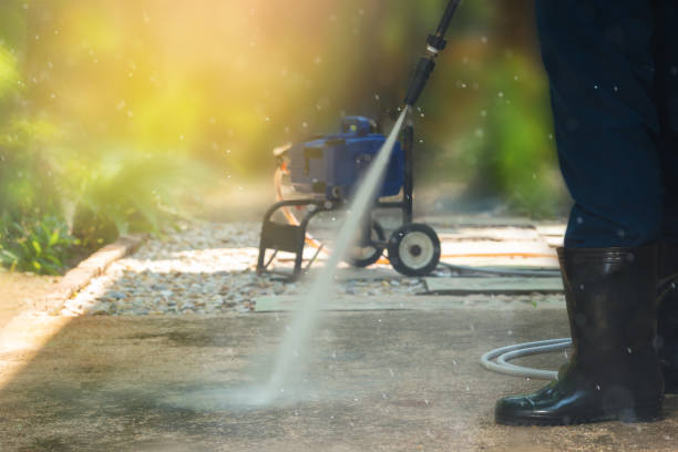 Best Solar Panel Cleaning  in Moriches, NY